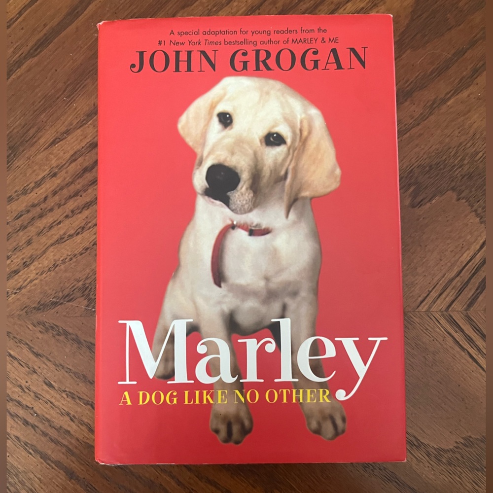 Marley: A Dog Like No Other kids book